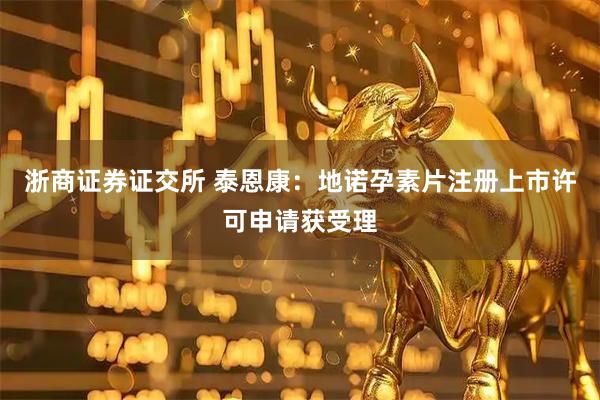 浙商证券证交所 泰恩康：地诺孕素片注册上市许可申请获受理