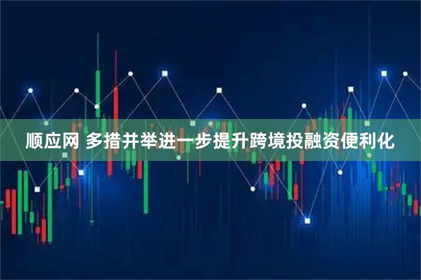 顺应网 多措并举进一步提升跨境投融资便利化