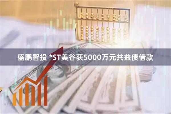 盛鹏智投 *ST美谷获5000万元共益债借款