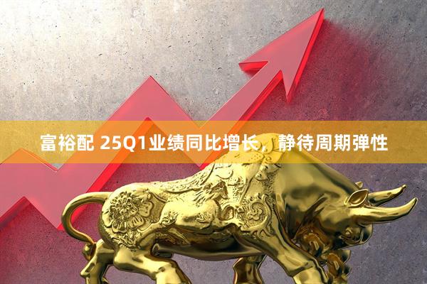 富裕配 25Q1业绩同比增长，静待周期弹性
