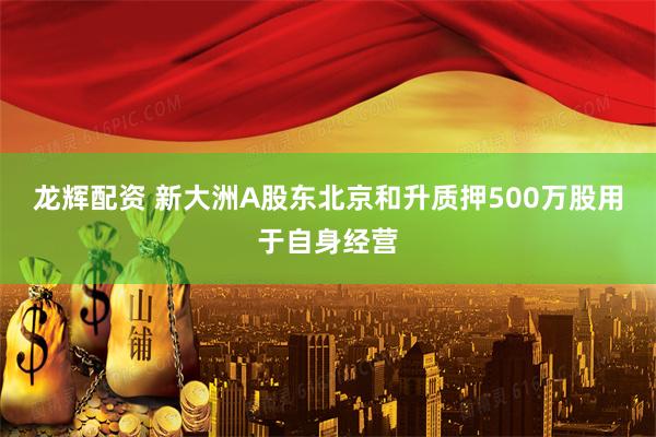 龙辉配资 新大洲A股东北京和升质押500万股用于自身经营