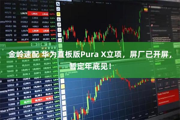 金岭速配 华为直板版Pura X立项，屏厂已开屏，暂定年底见！