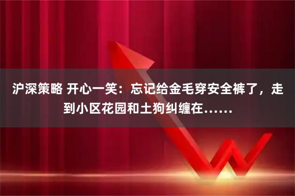 沪深策略 开心一笑：忘记给金毛穿安全裤了，走到小区花园和土狗纠缠在……
