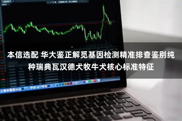 本信选配 华大鉴正解觅基因检测精准排查鉴别纯种瑞典瓦汉德犬牧牛犬核心标准特征
