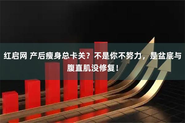 红启网 产后瘦身总卡关？不是你不努力，是盆底与腹直肌没修复！