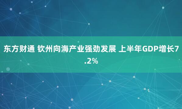 东方财通 钦州向海产业强劲发展 上半年GDP增长7.2%