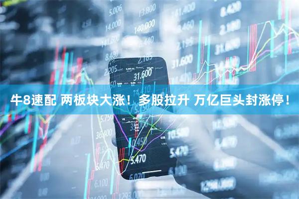 牛8速配 两板块大涨！多股拉升 万亿巨头封涨停！